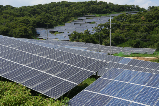 부여군에 위치한 산지 태양광 발전 사업장. <산림청 제공>